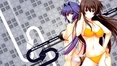Long hair anime girls muv-luv bikini Mitsurugi Meiya Takamura 