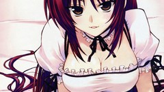 Long hair anime girls to heart 2 kousaka tamaki redheads