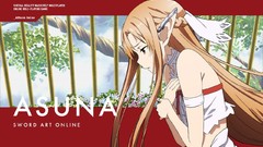 Long hair brown eyes brunettes sword art online yuuki asuna