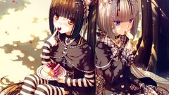 Long hair cherries animal