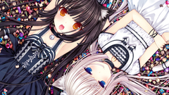 Long hair nekomimi animal