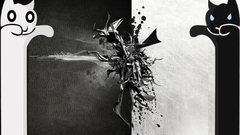 Longcat black white cat