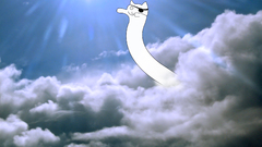 Longcat in The clouds