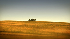 Lookin Good adding some