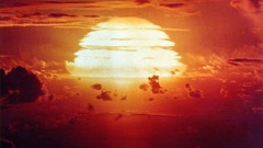 Looking at them side