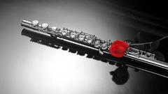 Looking for any particular