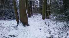 Looking for Christmas card