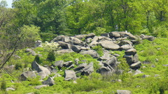 Looking Up from across