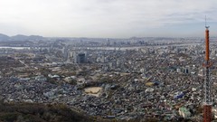 Looks all like that wanna them anybody