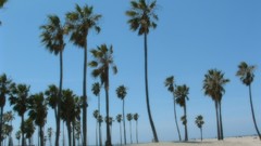 Los Angeles 2009 cityscapes