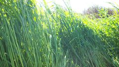 Lost My virginity here