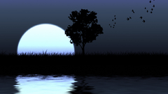 Lost tranquility Art