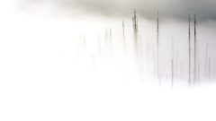 Lot of fog Photoshop