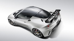 Lotus evora