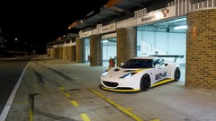 Lotus evora