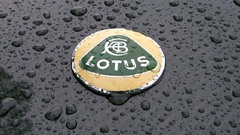 Lotus logo cars water