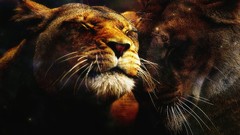 Love Animals artwork Lions
