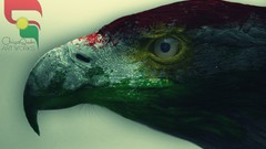 Love Anonymous kurdish Kurdistan Flag kurdish letter 