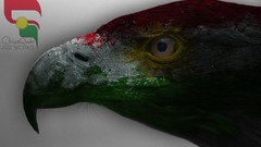 Love Anonymous kurdish Kurdistan Flag kurdish letter 