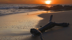 Love beach sunset scenery