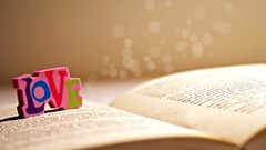 Love Books sunlight multicolor color splash