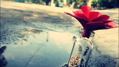 Love bottles depth of