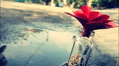 Love bottles streets