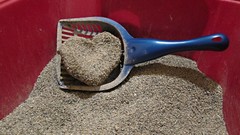 Love cats Hearts poop litter