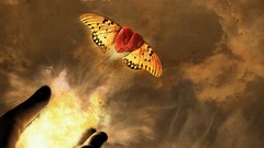 Love Hearts affection