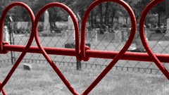 Love Hearts fences