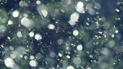 Love here You high Resolution sparklesparkle