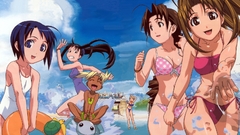 Love hina