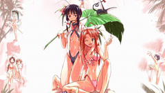 Love hina