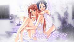 Love hina narusegawa naru