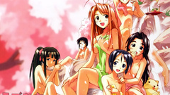 Love hina narusegawa naru