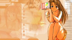Love hina narusegawa naru