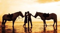 Love Horses happy valentines day