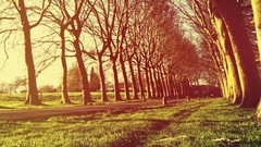 Love Linux cityscapes artwork