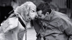 Love Men Dogs hugging golden retriever handicapped