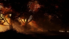 Love noodles fucking