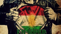 Love Norway Flags sweden Eagles iran Swedish irak norsk 