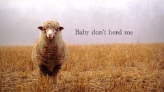 Love sheep fields Quotes