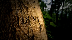 Love Trees