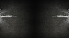 Love wide thread This