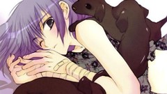 Loveless purple hair cat
