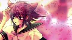 Loveless purple hair cat