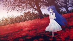 Lucky star Anime izumi