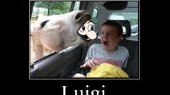 Luigi motivational posters funny