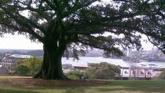 Lunchcorrec breast is an