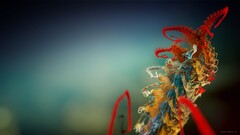 macro abstract colorful